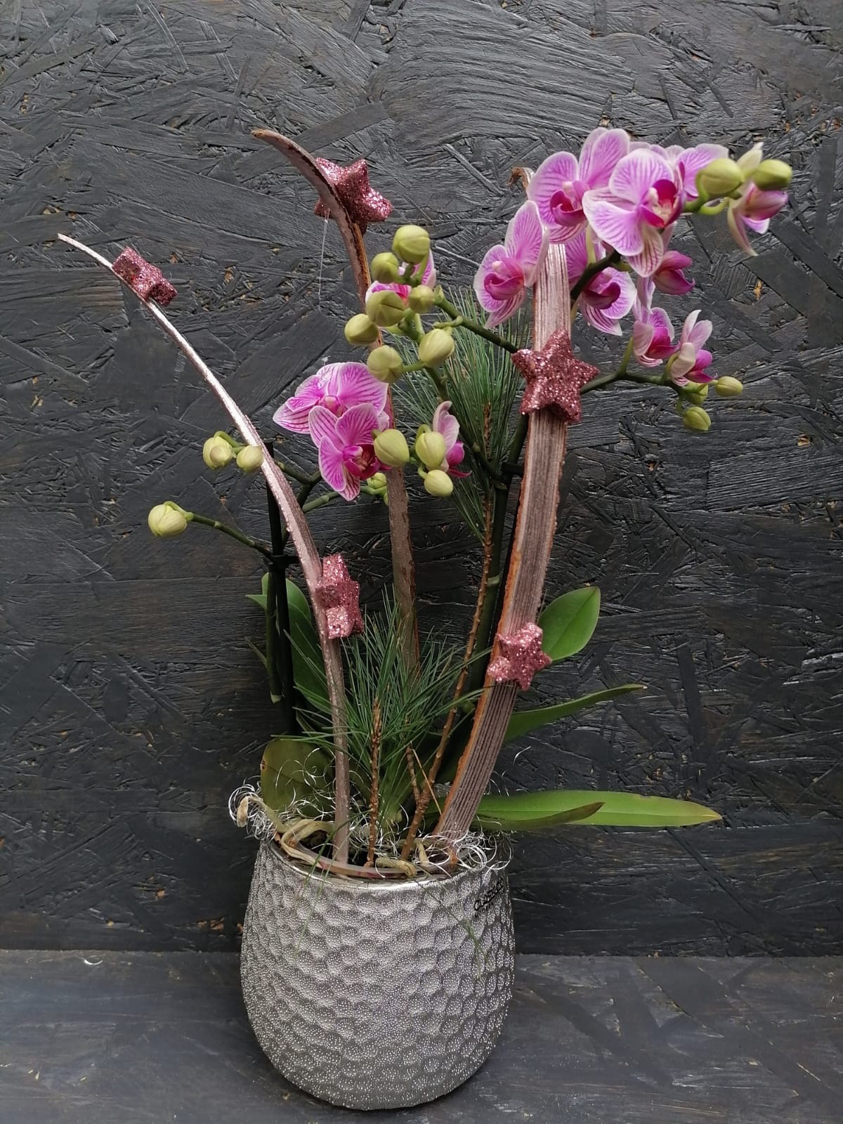 Orchidee mittel, in Farben, weihnachtlich dekoriert Bild 1